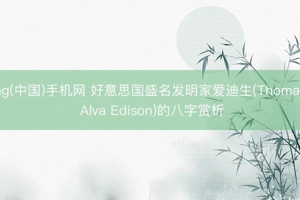 ag(中国)手机网 好意思国盛名发明家爱迪生(Thomas Alva Edison)的八字赏析