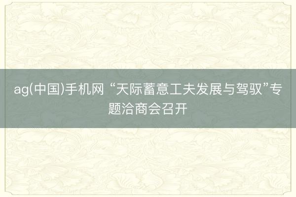 ag(中国)手机网 “天际蓄意工夫发展与驾驭”专题洽商会召开