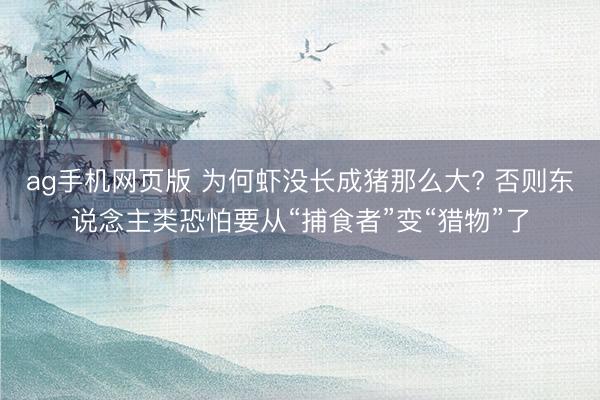 ag手机网页版 为何虾没长成猪那么大? 否则东说念主类恐怕要从“捕食者”变“猎物”了
