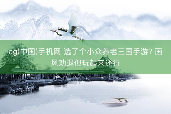 ag(中国)手机网 选了个小众养老三国手游? 画风劝退但玩起来还行