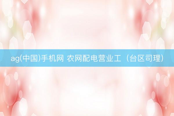 ag(中国)手机网 农网配电营业工（台区司理）