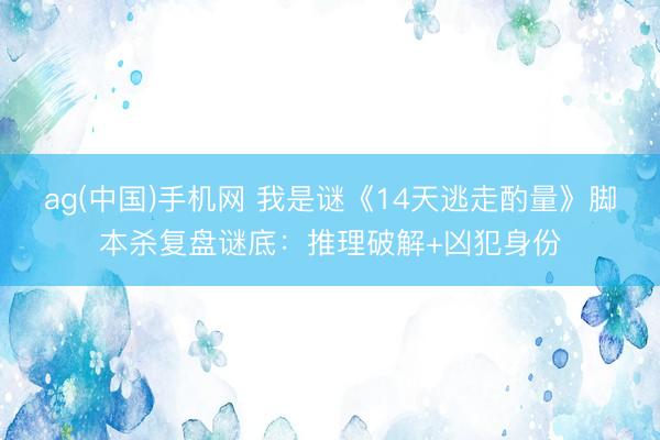 ag(中国)手机网 我是谜《14天逃走酌量》脚本杀复盘谜底：推理破解+凶犯身份