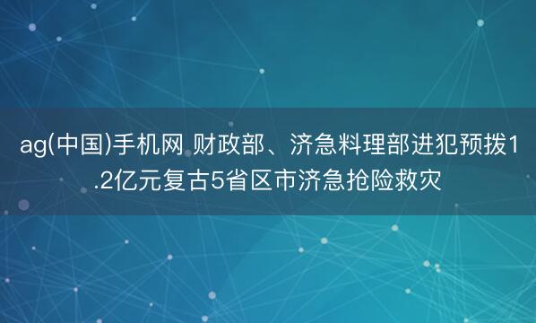 ag(中国)手机网 财政部、济急料理部进犯预拨1.2亿元复古5省区市济急抢险救灾