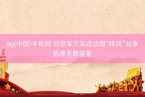ag(中国)手机网 印尼军方采选法国“阵风”战争机等无数装备
