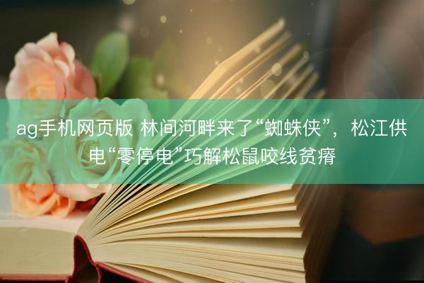 ag手机网页版 林间河畔来了“蜘蛛侠”，松江供电“零停电”巧解松鼠咬线贫瘠