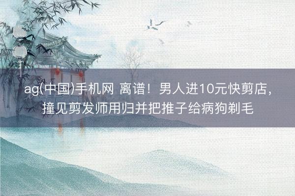 ag(中国)手机网 离谱!男人进10元快剪店,撞见剪发师用归并把推子给病狗剃毛