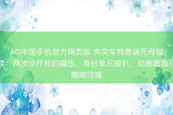 AG中国手机官方网页版 奔突车特意碾死母猫后续：两次诊疗标的碾压，身份单元被扒，幼崽嗷嗷待哺