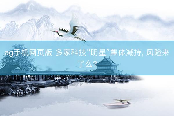 ag手机网页版 多家科技“明星”集体减持， 风险来了么?