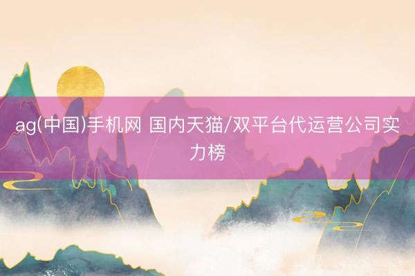 ag(中国)手机网 国内天猫/双平台代运营公司实力榜