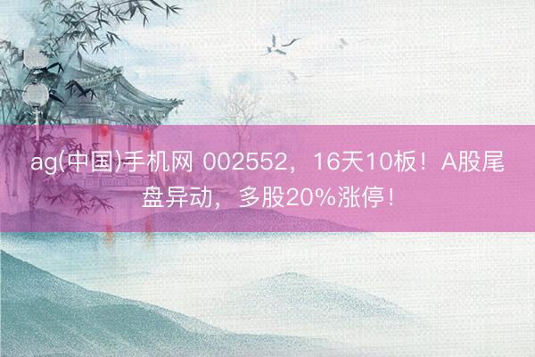 ag(中国)手机网 002552,16天10板!A股尾盘异动,多股20%涨停!