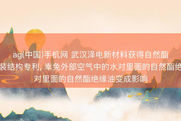 ag(中国)手机网 武汉泽电新材料获得自然酯绝缘油防潮包装结构专利， 幸免外部空气中的水对里面的自然酯绝缘油变成影响