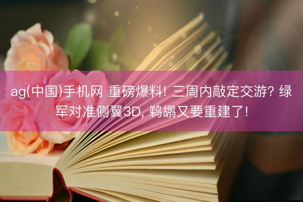 ag(中国)手机网 重磅爆料! 三周内敲定交游? 绿军对准侧翼3D， 鹈鹕又要重建了!
