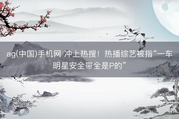 ag(中国)手机网 冲上热搜！热播综艺被指“一车明星安全带全是P的”