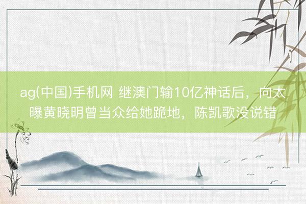 ag(中国)手机网 继澳门输10亿神话后，向太曝黄晓明曾当众给她跪地，陈凯歌没说错