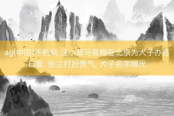 ag(中国)手机网 汪小菲马筱梅在北京为犬子办百日宴， 张兰打扮贵气， 犬子名字曝光
