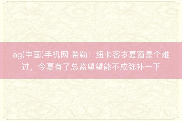 ag(中国)手机网 希勒：纽卡客岁夏窗是个难过，今夏有了总监望望能不成弥补一下