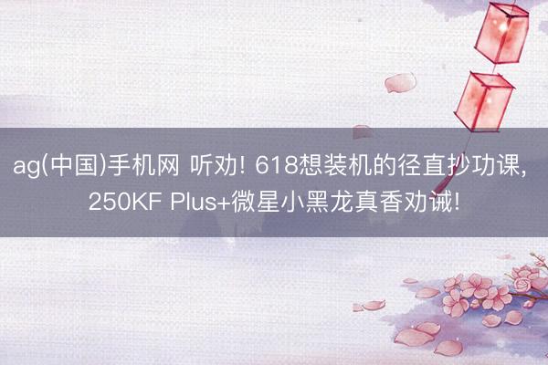 ag(中国)手机网 听劝! 618想装机的径直抄功课， 250KF Plus+微星小黑龙真香劝诫!