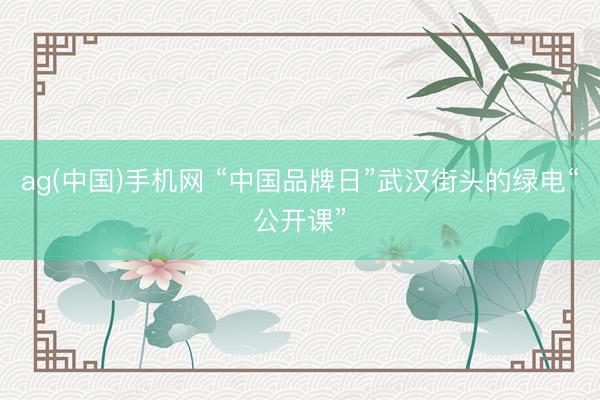 ag(中国)手机网 “中国品牌日”武汉街头的绿电“公开课”