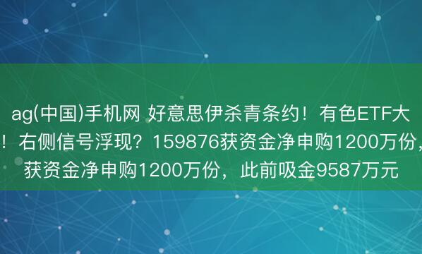 ag(中国)手机网 好意思伊杀青条约！有色ETF大涨3.7%，冲击5连阳！右侧信号浮现？159876获资金净申购1200万份，此前吸金9587万元