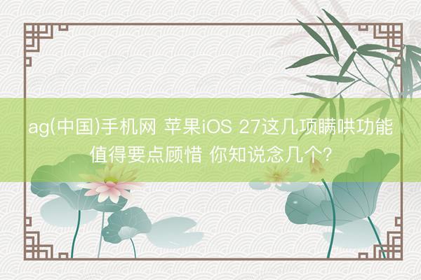 ag(中国)手机网 苹果iOS 27这几项瞒哄功能值得要点顾惜 你知说念几个？