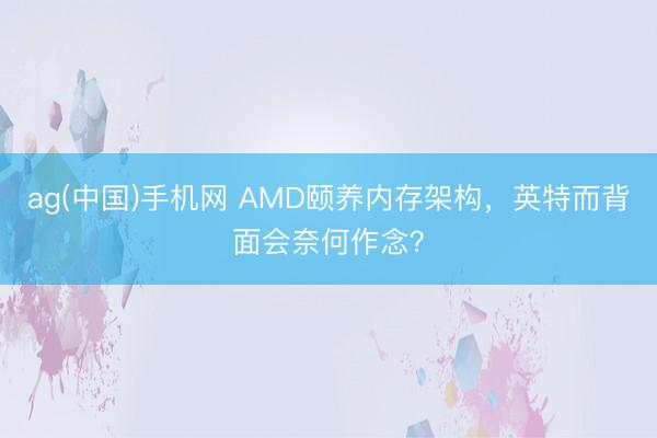 ag(中国)手机网 AMD颐养内存架构，英特而背面会奈何作念？