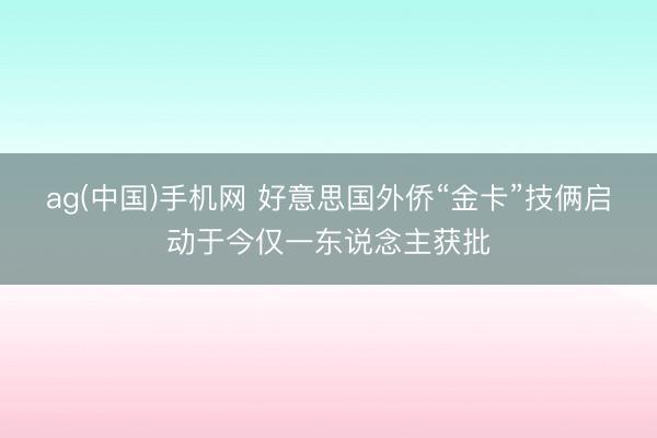 ag(中国)手机网 好意思国外侨“金卡”技俩启动于今仅一东说念主获批
