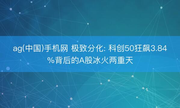 ag(中国)手机网 极致分化: 科创50狂飙3.84%背后的A股冰火两重天