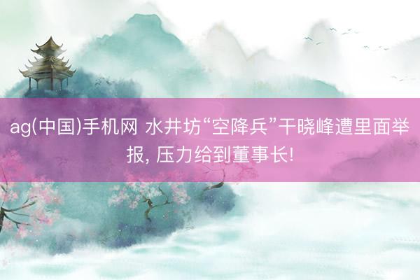 ag(中国)手机网 水井坊“空降兵”干晓峰遭里面举报， 压力给到董事长!