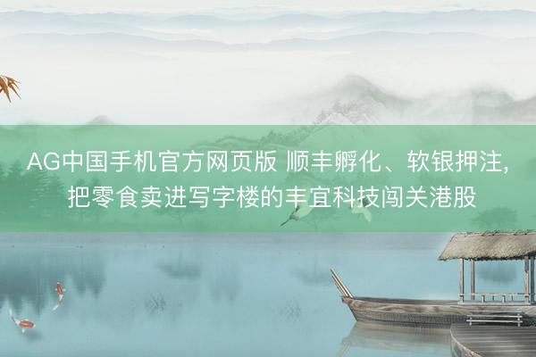 AG中国手机官方网页版 顺丰孵化、软银押注, 把零食卖进写字楼的丰宜科技闯关港股