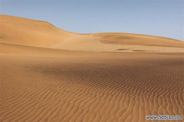 中国机器东谈主开动科罚沙漠了：效果远胜东谈主工